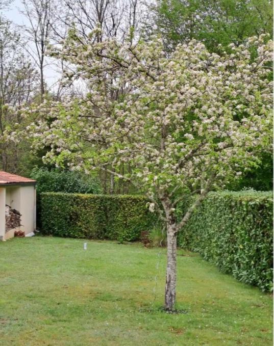 Villa Notre Refuge à Ecuras Extérieur photo